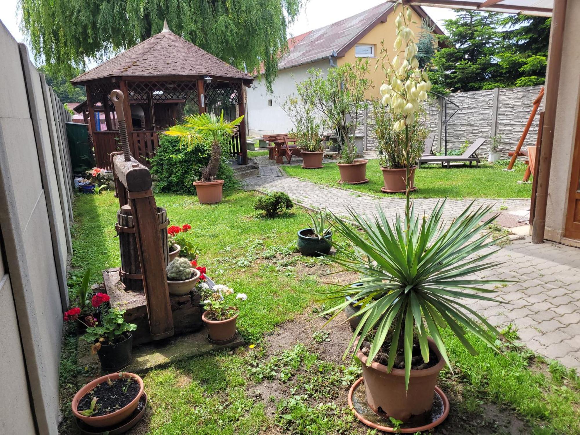 Penzion Korzo Štúrovo Bagian luar foto
